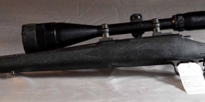 Remington 700  30.06  w/ Bushnell 6-18x50 Remington 700  30.06  w/ Bushnell 6-18x50